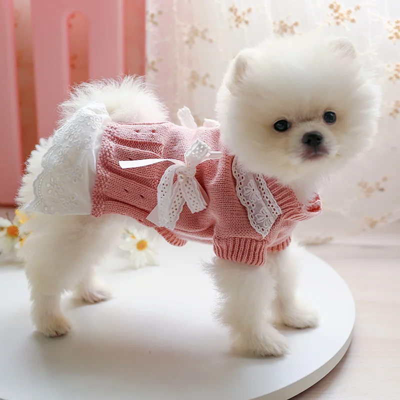 Autumn Warm Pet Dog Sweater Dress for Small Cats Dogs Puppies Bichon Yorkie Comfortable Pet Hollow Out Lace Bow Knit Sweater