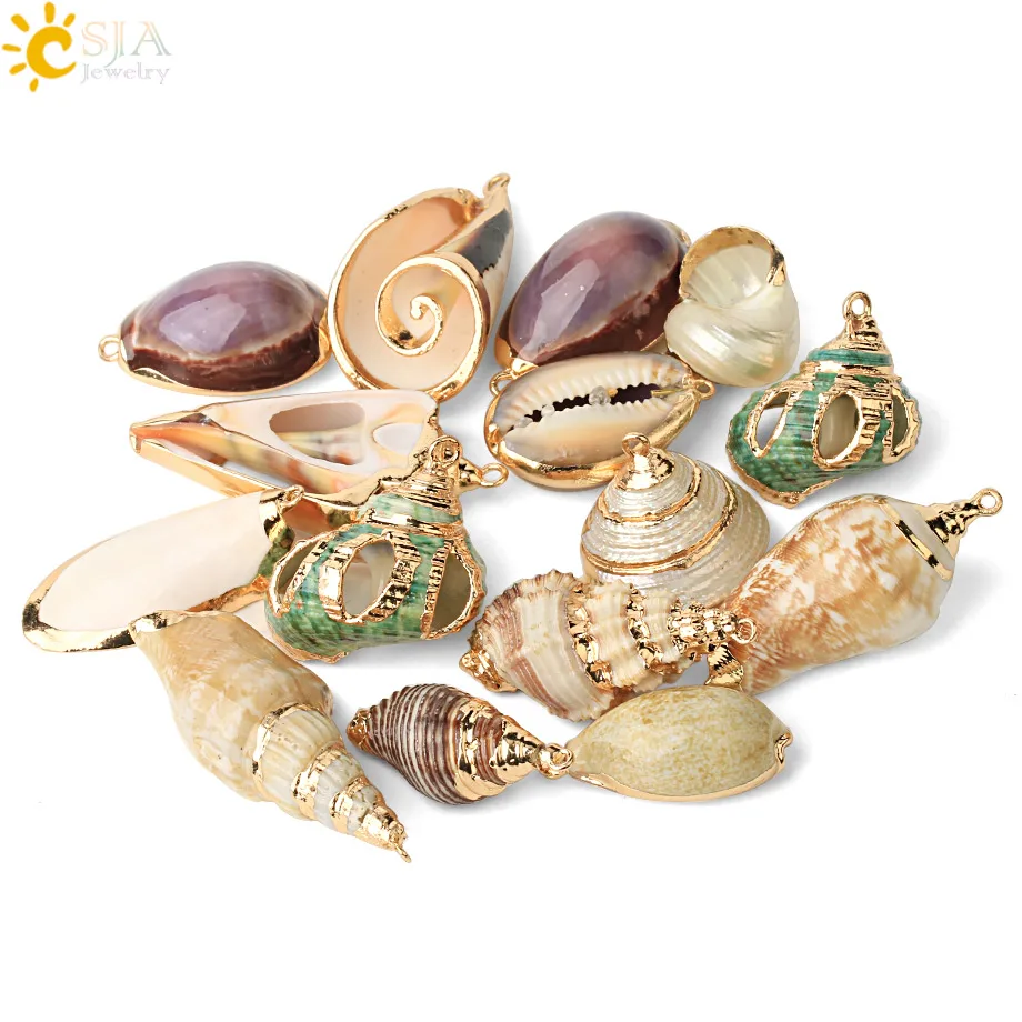 CSJA Natural Seashell Assorted Shell Conch for DIY Making Earrings Necklace Decor Crafts Cowrie Charms Jewelry Findings 2pc G446