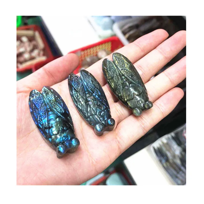 

Hand Carved Labradorite Cicada Natural Crystals Healing Gemstones For Gifts