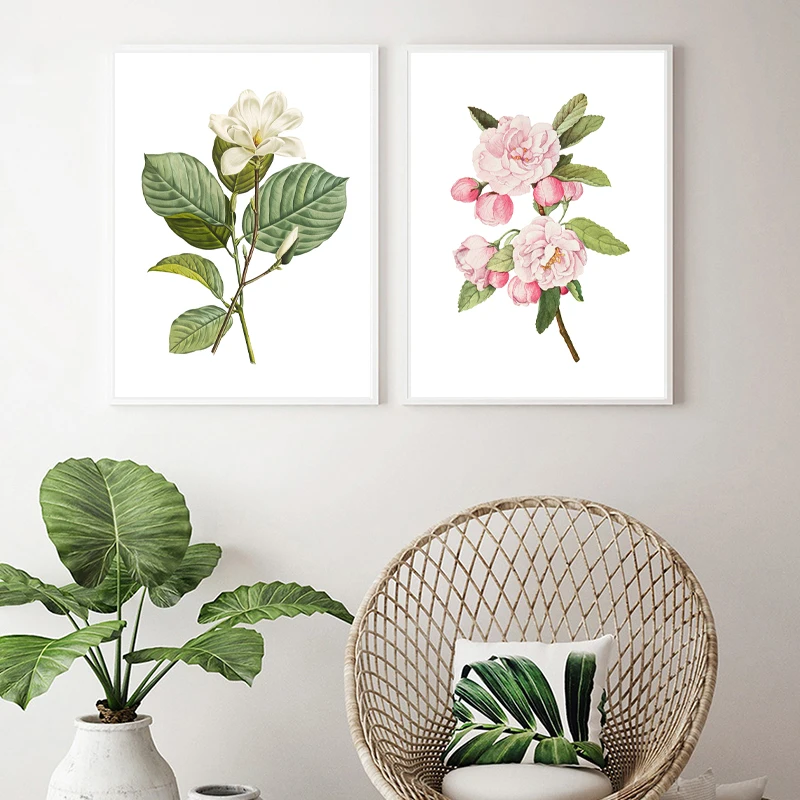 White Flower Magnolia Yulan Print Pink Flowers Crab Apple Botanical Poster Wall Art Pictures Floral Plants Canvas Painting Decor