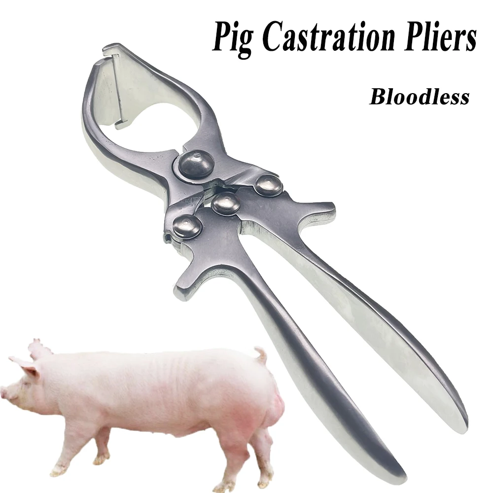 

1PCS Pig Castration Plier Bloodless Stainless Steel Boar Emasculation Castrator Forceps Clamp Veterinary Farming Instrument