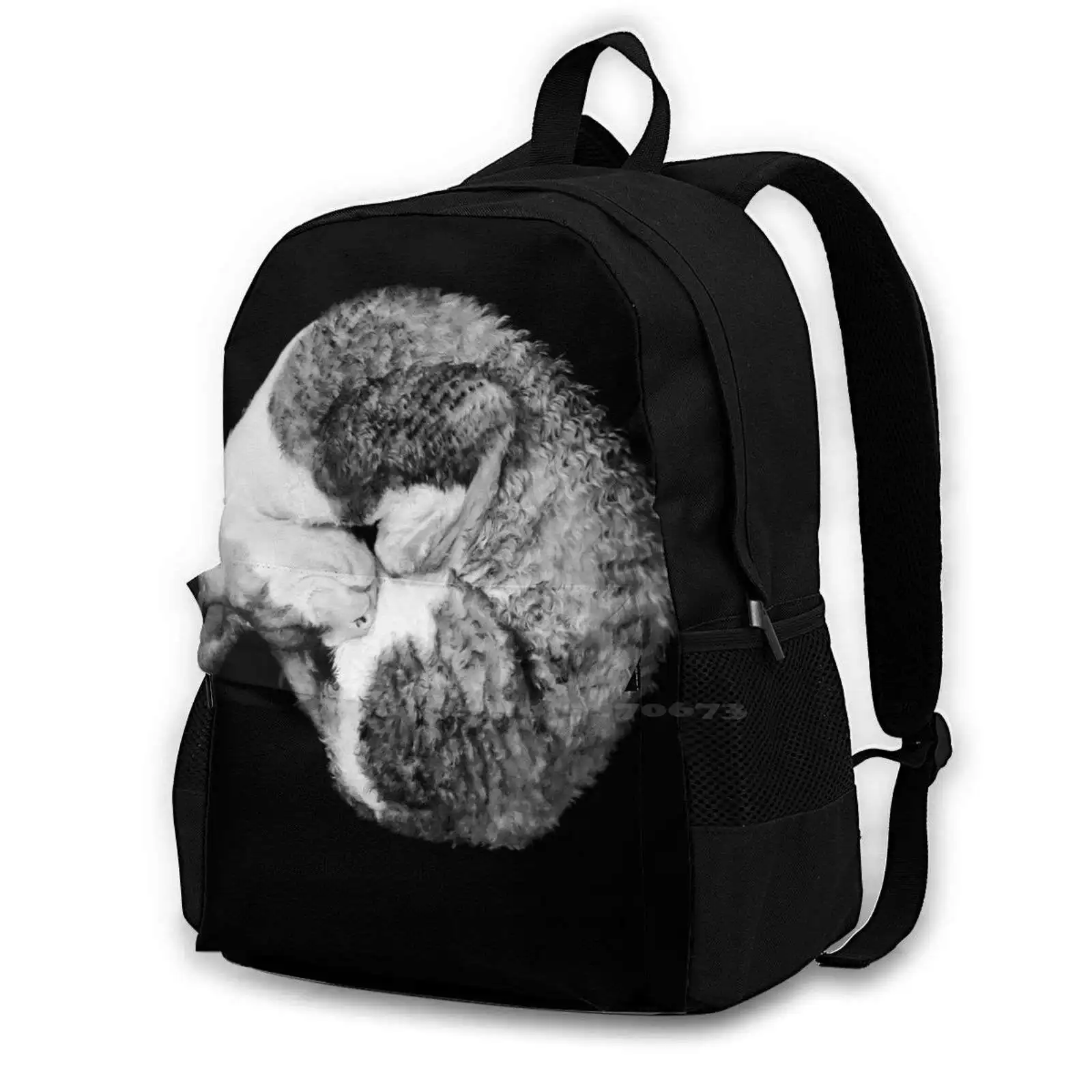 Wrap Around Cat-Cornish Rex Black Background Backpack For Student School Laptop Travel Bag Cornish Rex Cat Cat Cute Animals