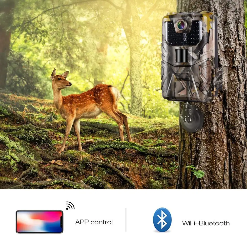 Wifi APP sterowanie Bluetooth kamera obserwacyjna na żywo Show Wildlife polowanie kamery WIFI900 24MP 1296P Night Vision Photo Traps Cam