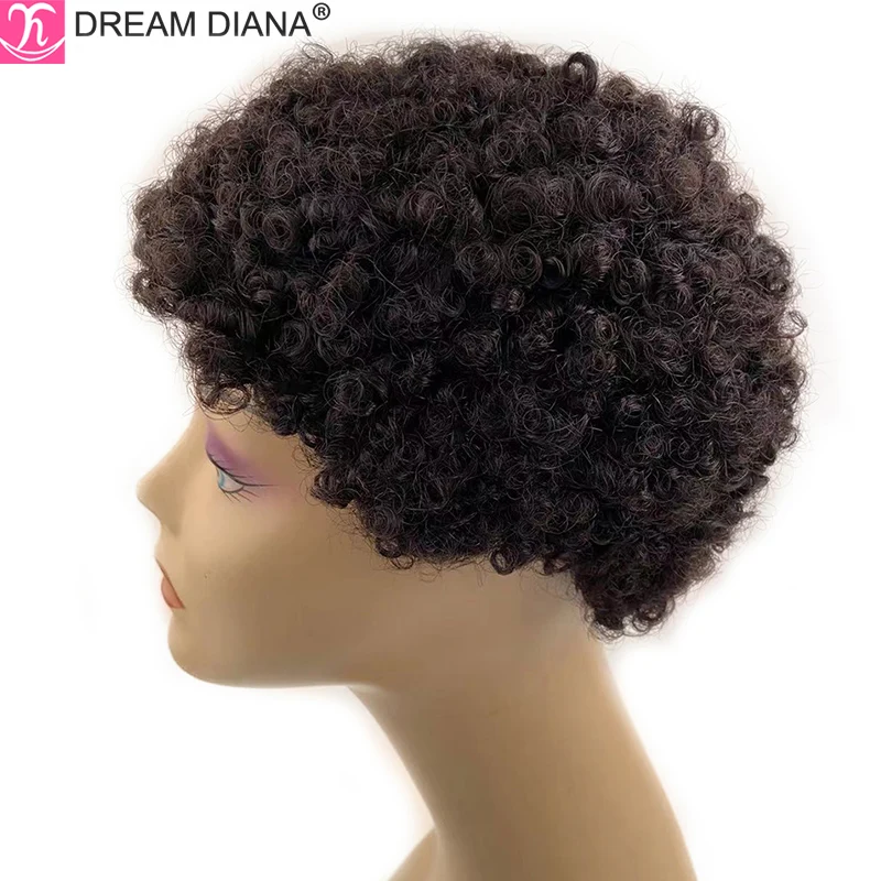 DreamDiana Brazilian Curly Hair Wigs Afro Curly Human Hair Wig Perruque Bresillienne Pixie Cut Full Machine Made Human Hair Wigs