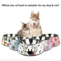 Stainless Steel Pet Bowl, Dog Pot, Cat Food Bowl, Cat Bowl, Double Bowl, Large, Large, Pet Supplies