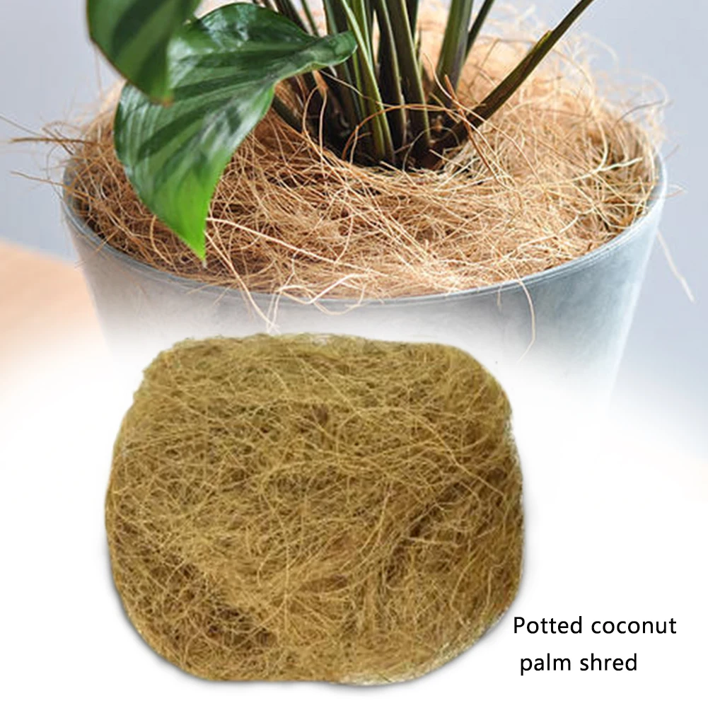 Coir Bird Nests Root Growth Garden Soil Practical Bonsai Good Permeability Home Small Pet Easy Apply Coconut Fiber Green Plant