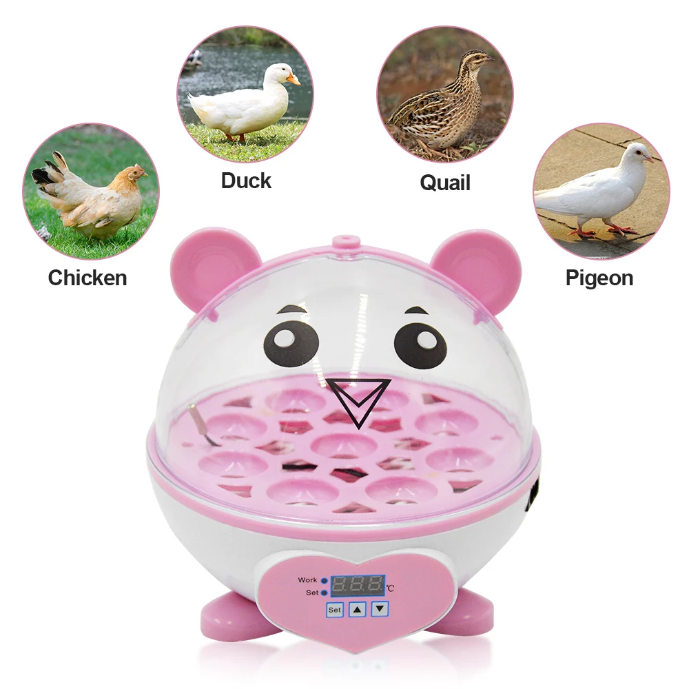 Cute Mini 9 Eggs Incubator Incubation Brooder Manual Egg Turning Chicken Duck Quail Birds Egg Incubator