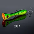 NSB207