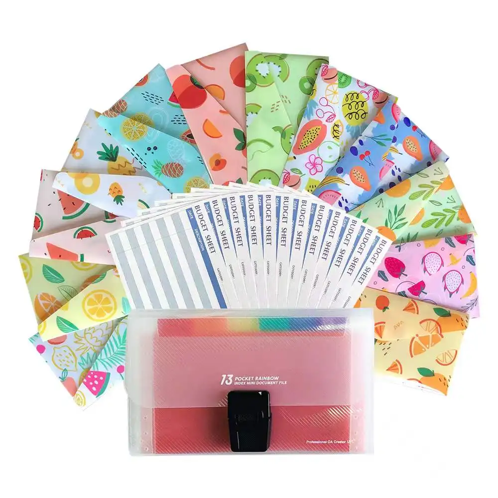 27 Pieces Of Plastic Cash Envelope System For Budgeting Reusable Organ Bag Contains 12 Budget Sheets And 24 Labels