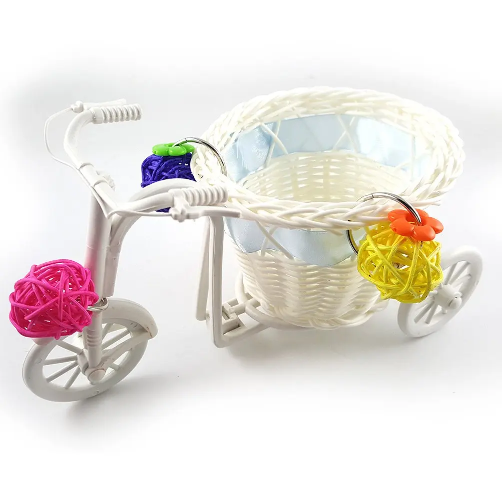 Bird Mini Bike Trolley Shopping Cart with Rattan Balls for Medium and Small Parrots Intelligence Growth Training