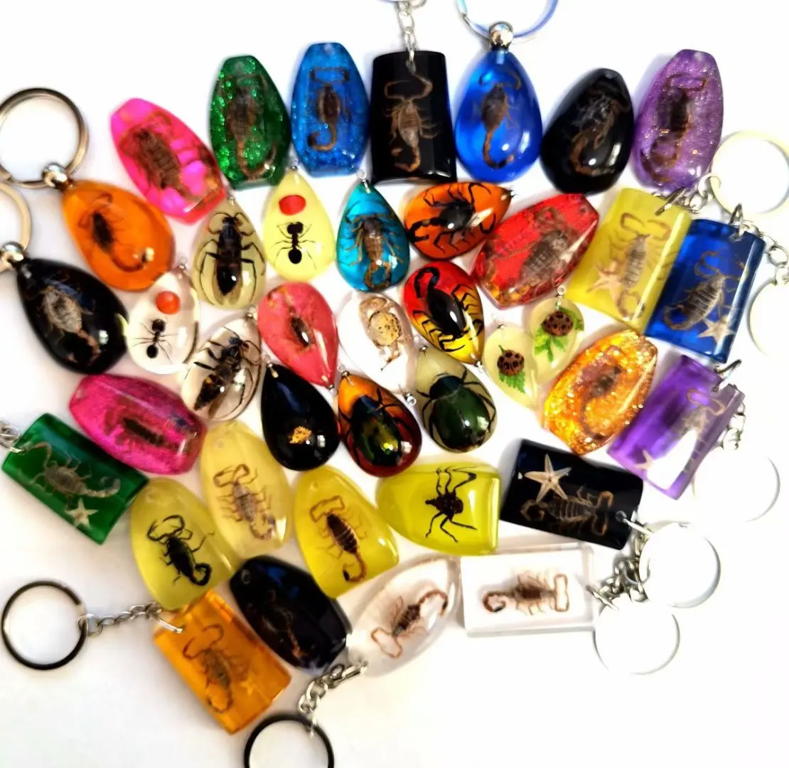 

40 pcs fashion real scorpion ant star fish mixed style keychain