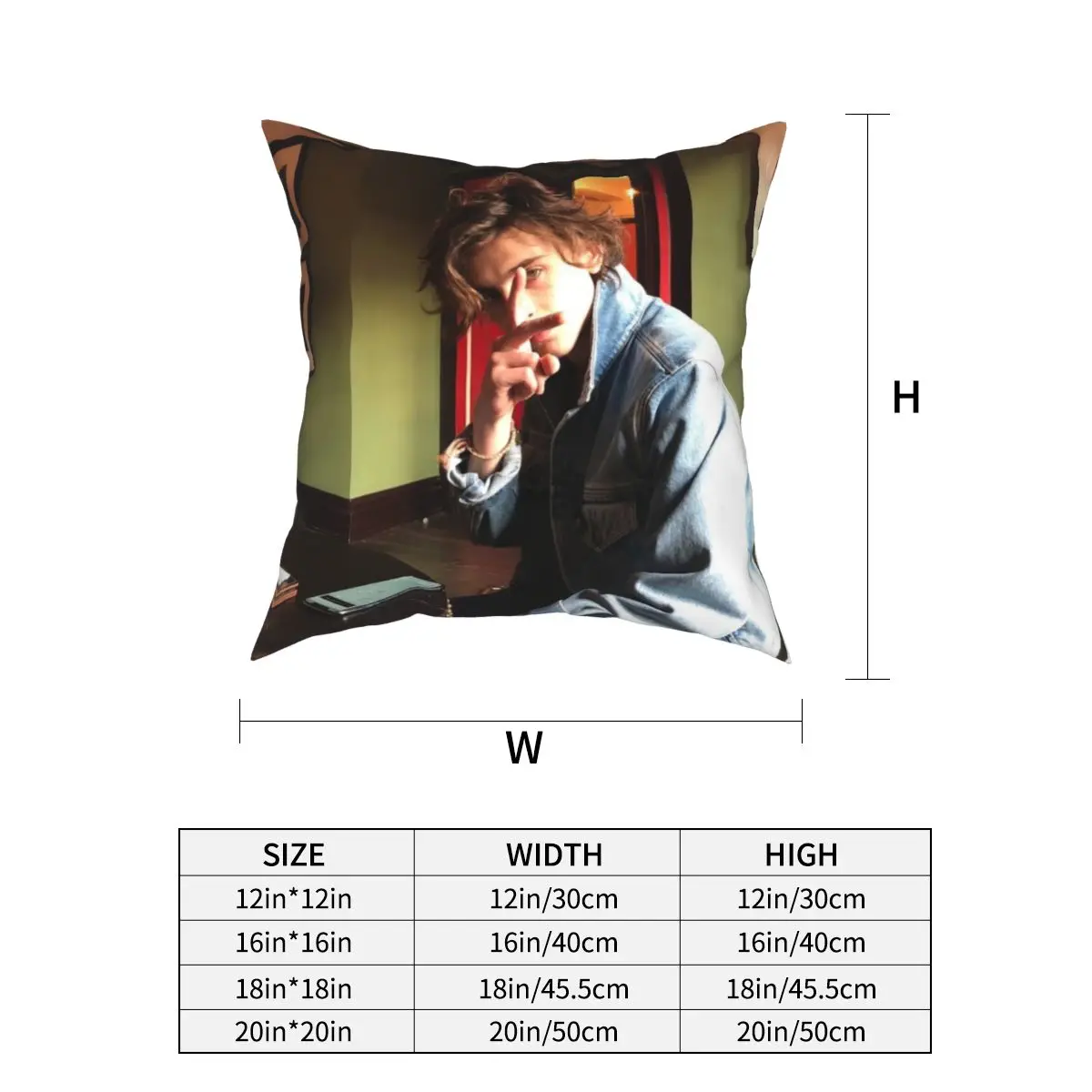 Timothee Chalamet Pillowcase Cushion Cover Decor Timmy CMBYN Beautiful Boy Pillow Case Cover Home Drop Shipping 45*45cm