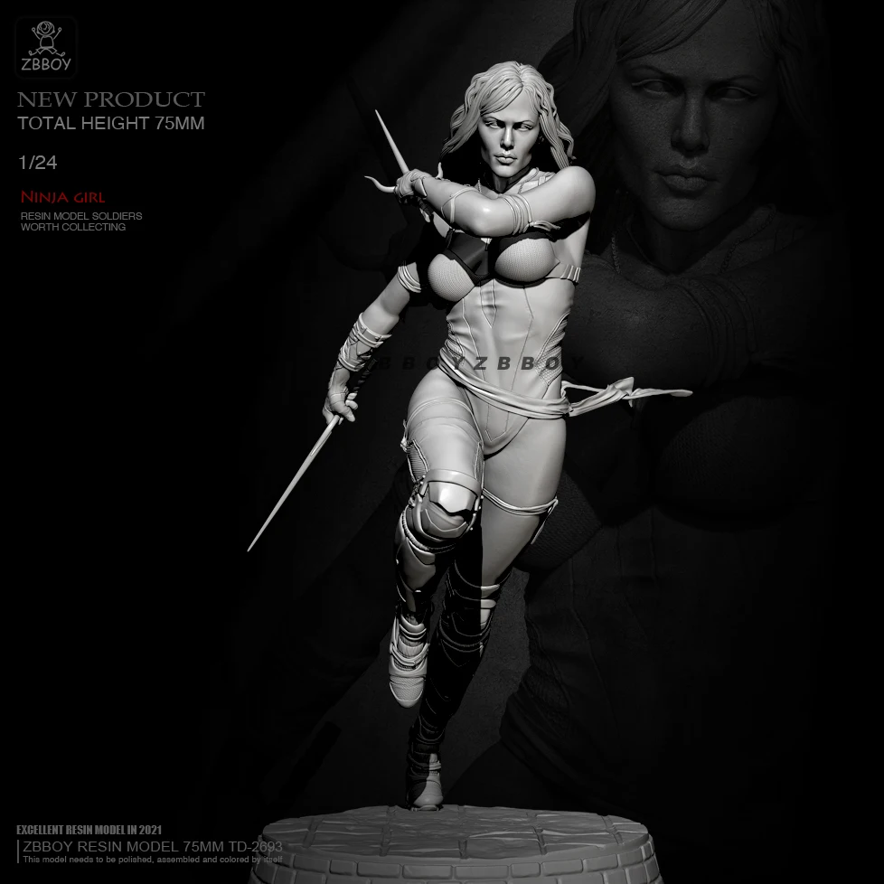 

H75mm Resin model kits DIY figure self-assembled TD-2693