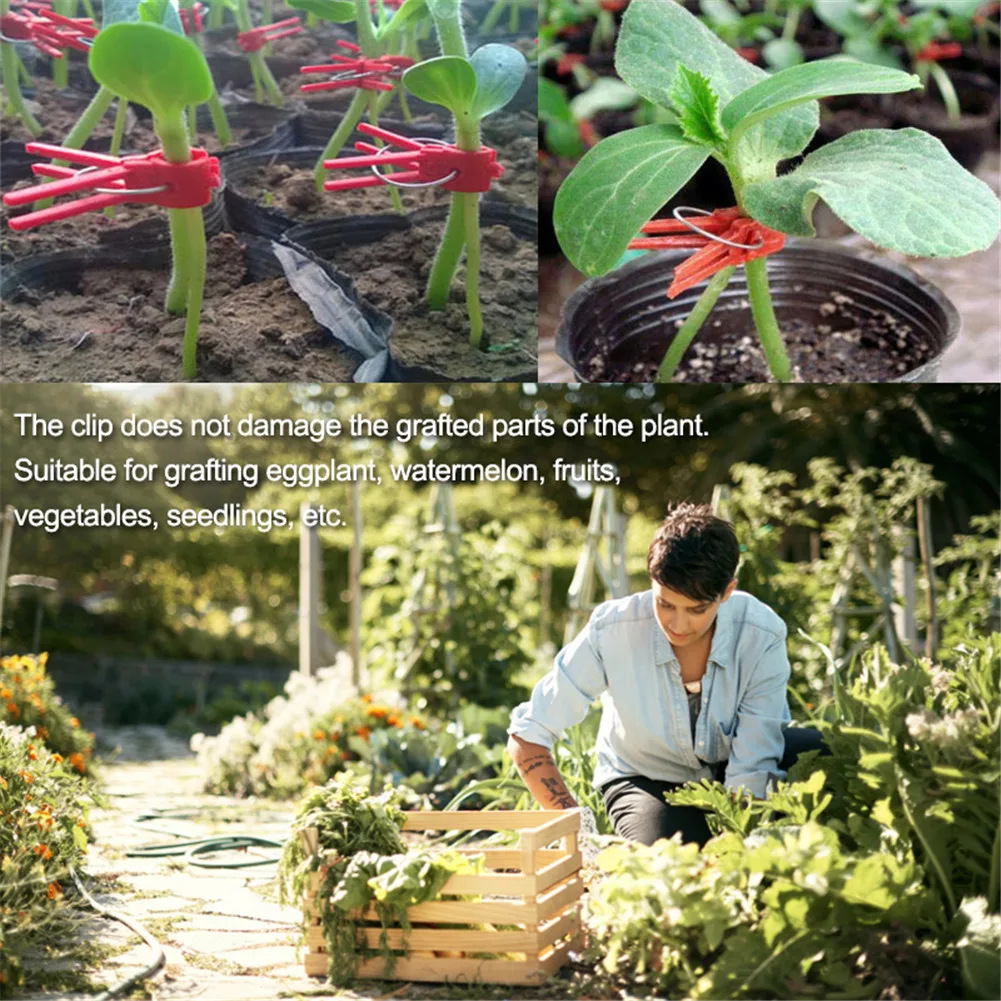 50Pcs Plants Graft Clips Plastic Garden Tools For Cucumber Watermelon Garden Vegetable Flower Tomato Vine Bushes Everyone