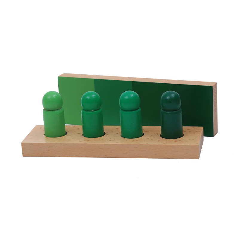 Montessori Sensorial Materials Colour Resemblance Sorting Task Cylinders and Boards Early Childhood Education Game for Children
