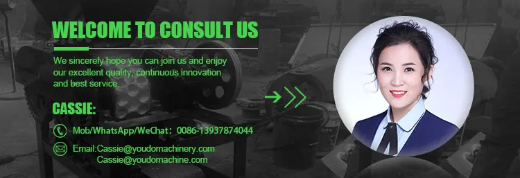 قالب ضغط لحم الخنزير مربع ، 2000 جرام ، فولاذ مقاوم للصدأ