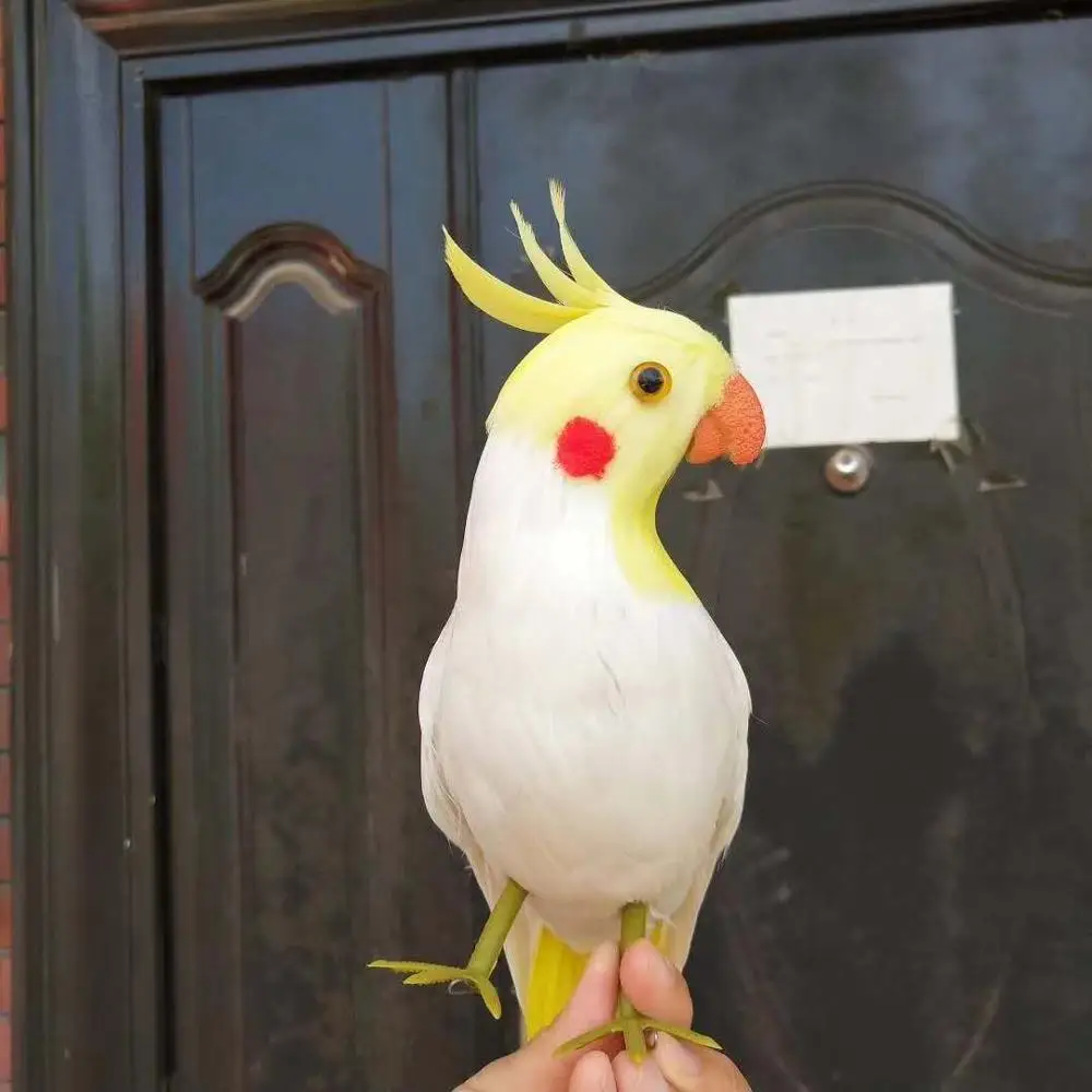 cute simulation white cockatoo model foam&feather turned parrot bird gift about 32cm xf2298