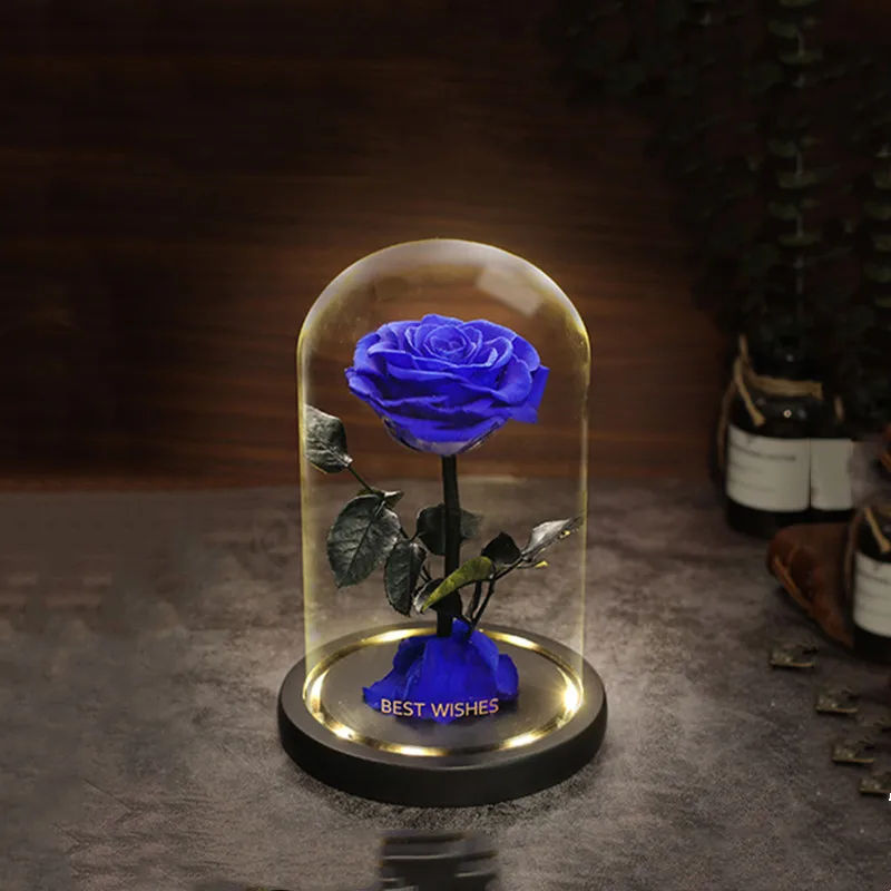 

10*12 см маленький размер светящаяся черная основа стеклянный купол ваза украшение дома подарок другу свадебный живой реквизит