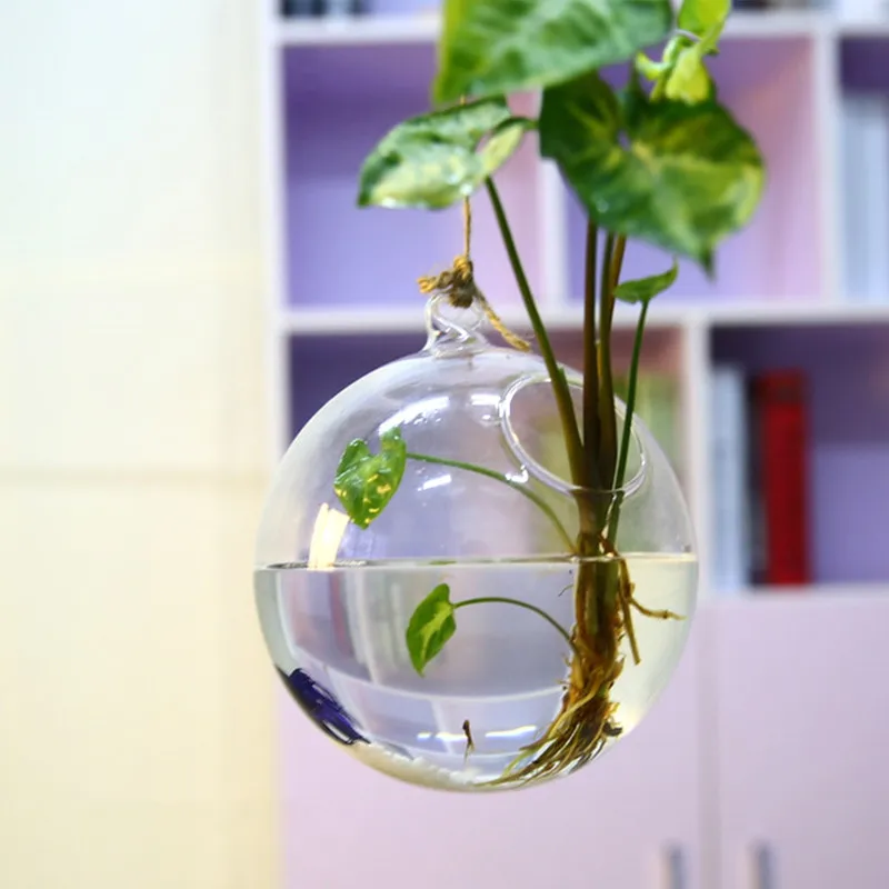 8pcs/pack Diameter=10cm Middle Size Glass Terrarium Aquarium Home Decorative Handmade Hanging Fishbowl Flat and Round Bottom