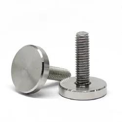 10/5PCS M6 M8 M10 Stainless Steel Hand Screw Mirror Light Screw advertisement nail Big Head Screw