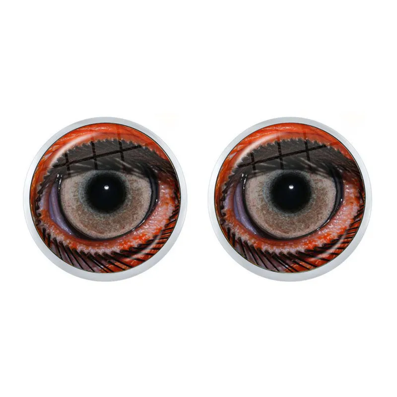 1Pair Dragon Eyes Glass Cabochon Stud Earrings Animal Eyes Dragon Snake Owl Cat Tiger Eyes Earrings Jewelry For Women Girls Gift