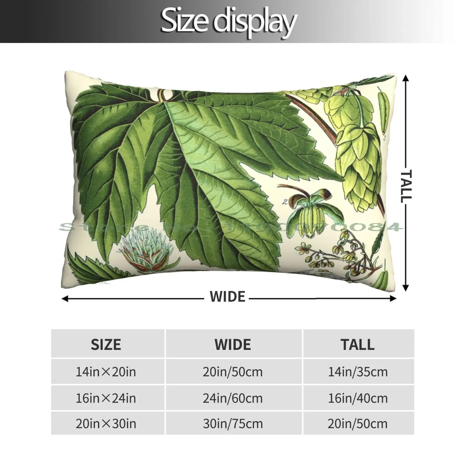 Humulus Lupulus ( Common Hop Or Hops )-Vintage Botanical Illustration Pillow Case 20x30 50*75 Sofa Bedroom Crvena Zvezda