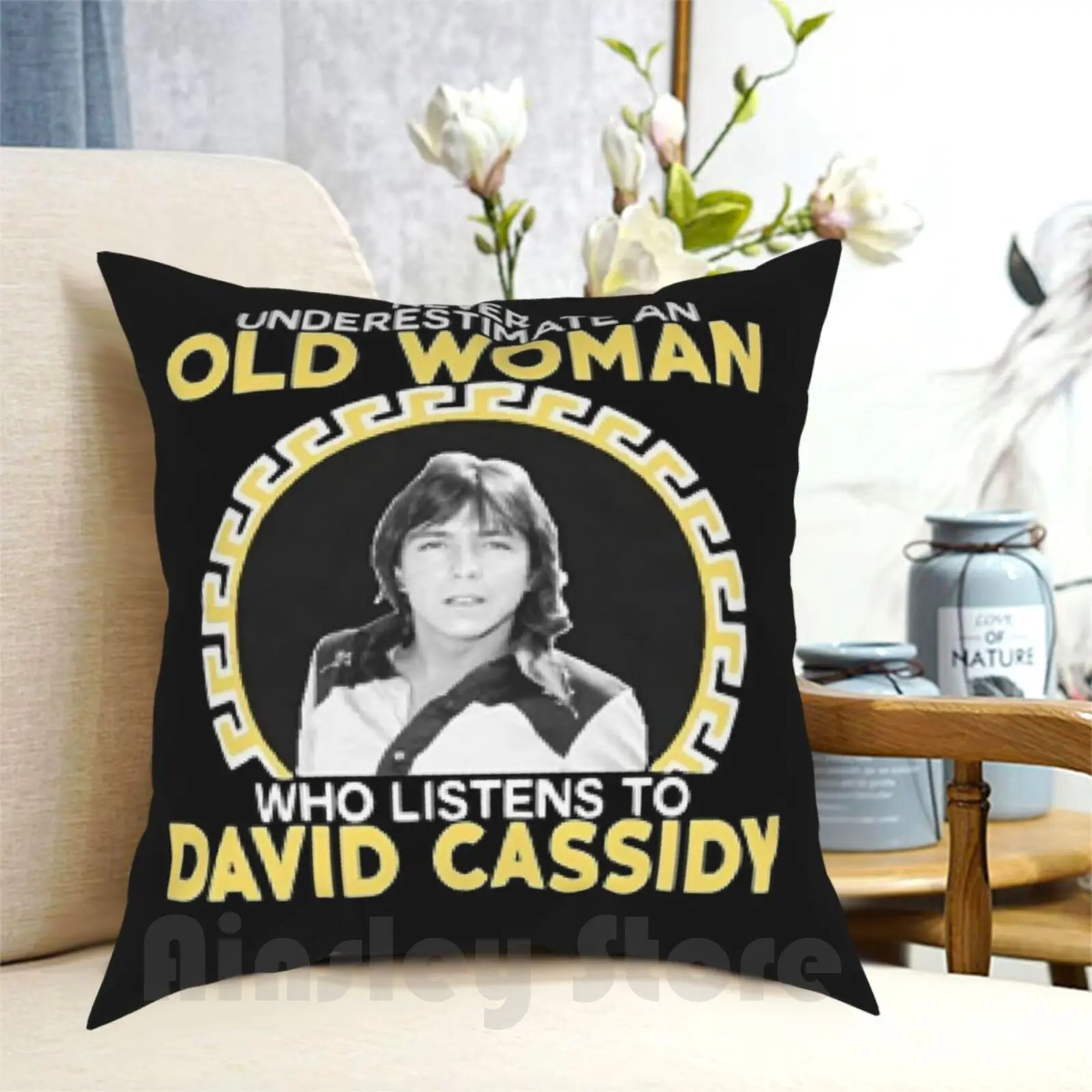 David Cassidy Hollywood Pillow Case Printed Home Soft DIY Pillow cover David Cassidy Singer Actor Actress Movie Film