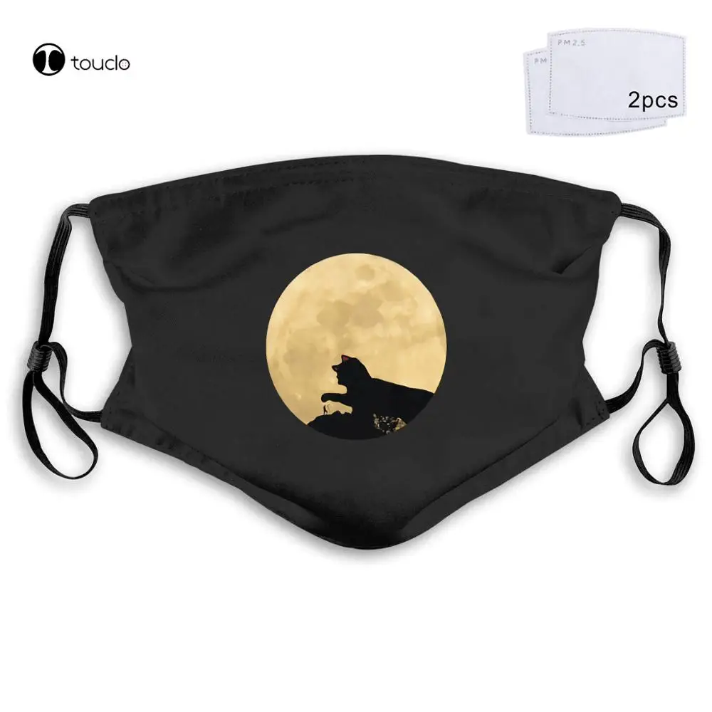 O gato e a lua padrão unisex máscara facial filtro pano de bolso reutilizável lavável