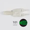 NW101