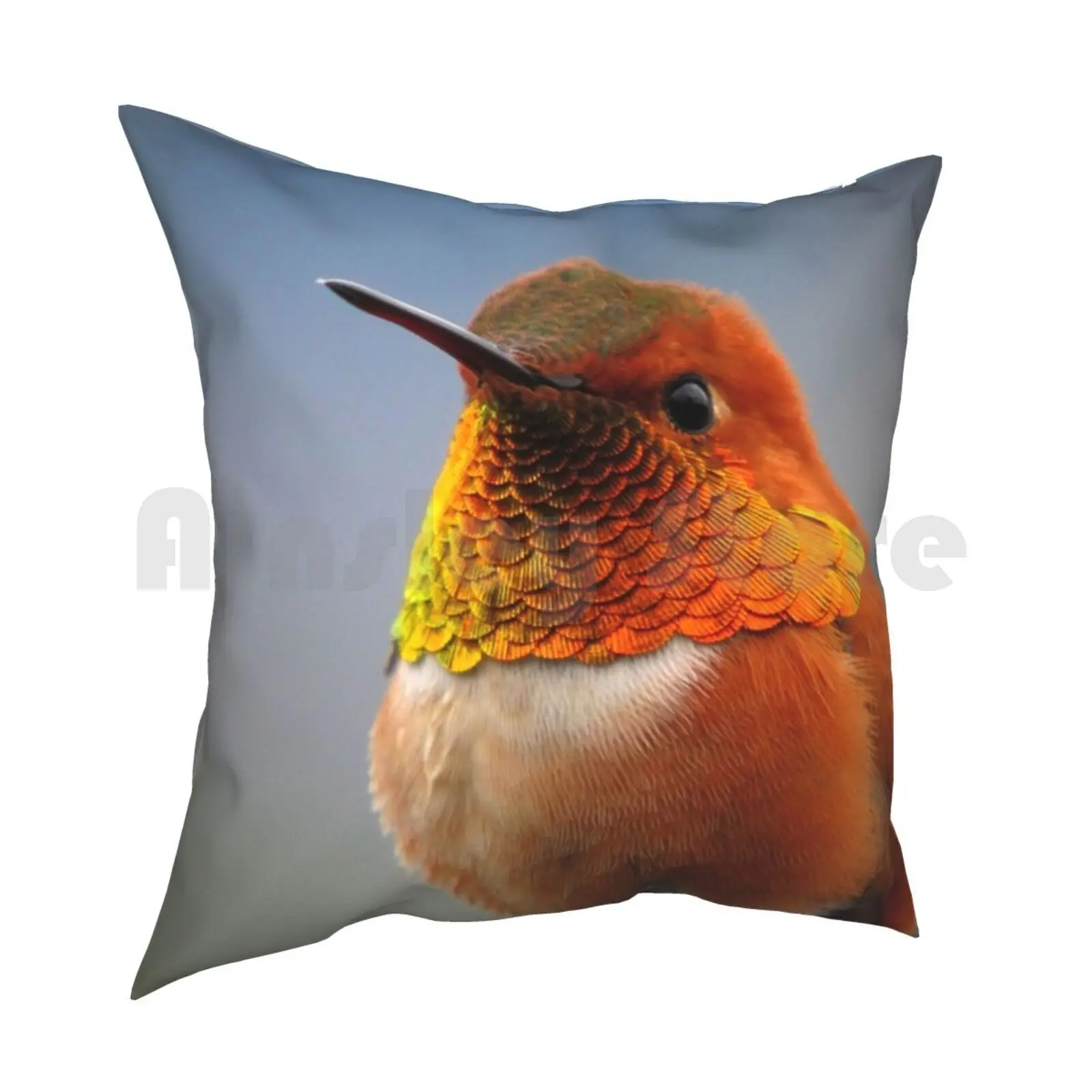 Humming-Bird Pillow Case Printed Home Soft Throw Pillow Humming Bird Animal Animals Bird Birds Cute Bird Cute Animal