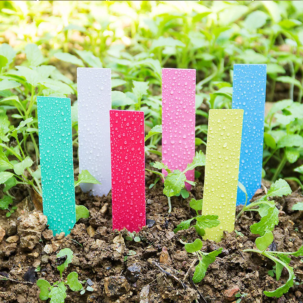 Garden Plant Tag Adjustable Plastic Label Writeable Identification Card Reusable Waterproof Seedling Classification Marker Logo