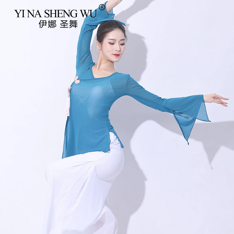 Elegant Chinese Classical Dance Shirt Long Sleeve Sexy Transparent Mesh Body Rhyme Top Profession Dancer Practice Clothing Set