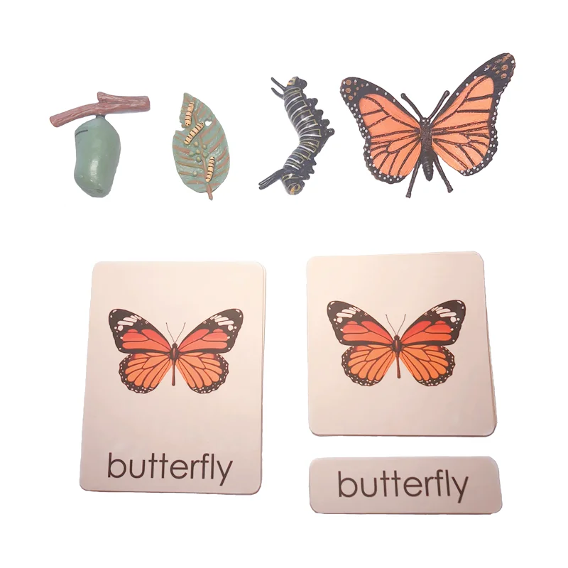 

Montessori Life Cycle of Butterfly Figures Cognitive Cards Wood Tray Board Kids Learning Resource Early Childhood Education Toys