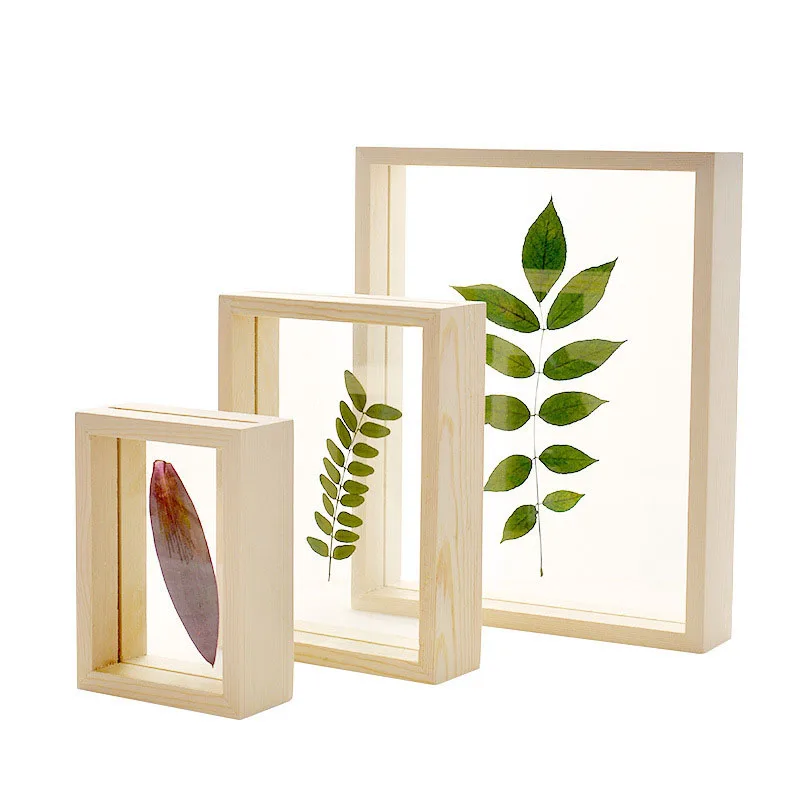 Quality Wood Double Sided Glass Frame, Simple Plant Specimens Frame, Home Decor, Photo Frames, Ornaments, Decoration Crafts, DIY