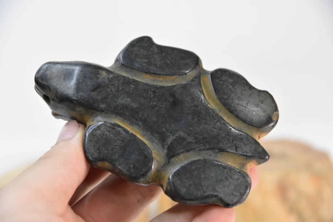 Hongshan culture meteorite iron xizang received the dragon turtle longevity turtle