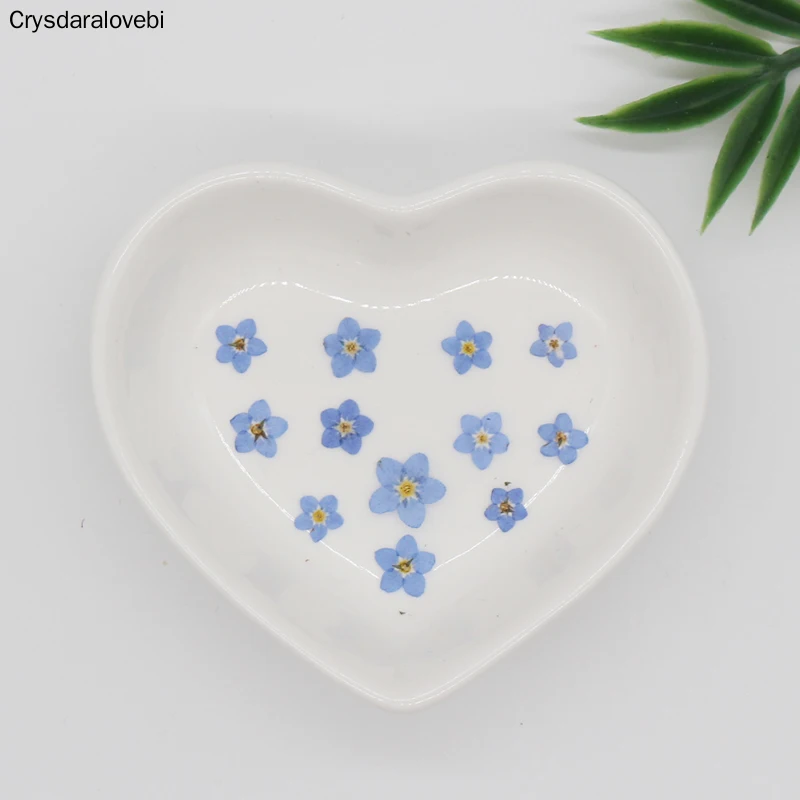 160pcs Pressed Dried Natural Blue Myosotis Sylvatica Forgetmenot Flower Plant Herbarium For Jewelry Phone Case Frame Making DIY