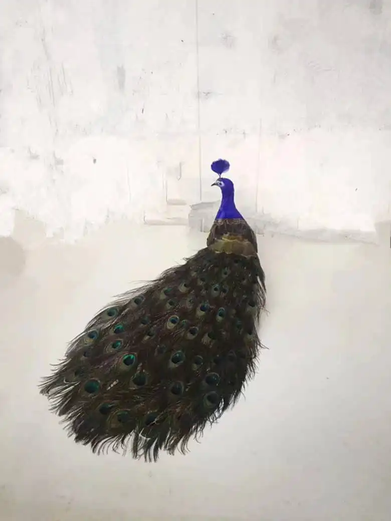 beautiful real life peacock model foam&feather simulation peacock bird gift about 80cm xf2903