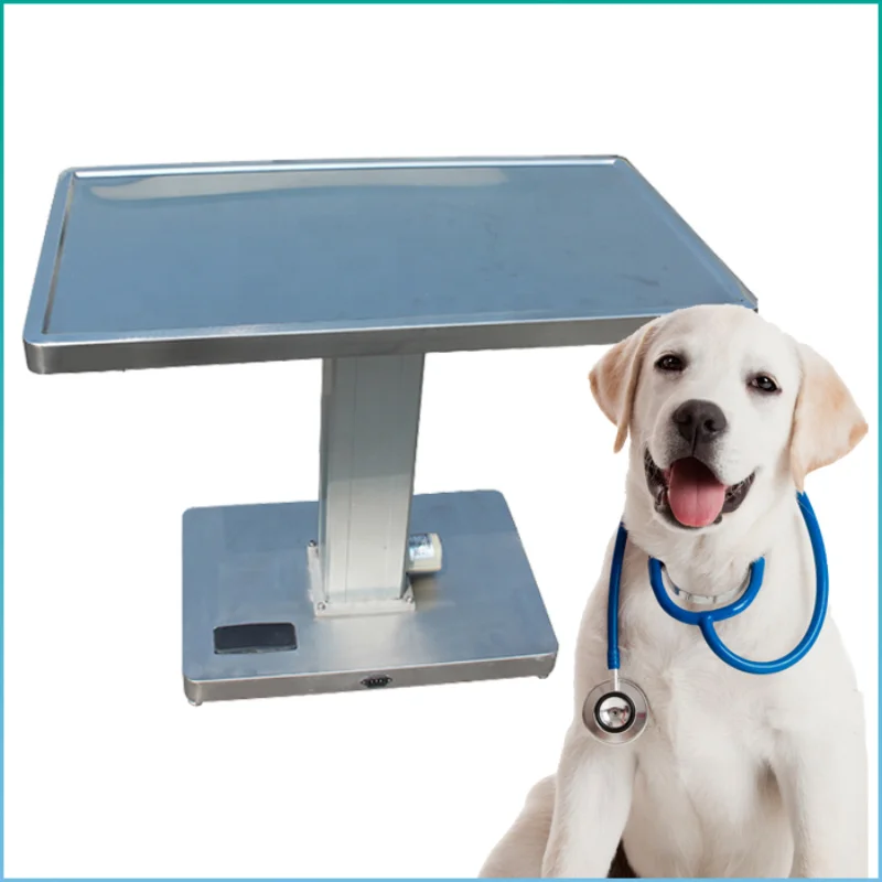 Electric Liftingf Pet Treatment Table veterinary surgical operation examination table Veterinary equipment