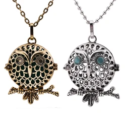 Fashion Owl Style Aromatherapy Locket Necklace Essential Oil Diffuser Perfume Pendant For Charm Women Jewelry Accessories Unisex