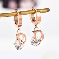 New Fashion Luxury Gold Color Letter D Stud Earrings For Women Titanium Cubic Zirconia Earring Labradorite Brand Jewelry Brincos