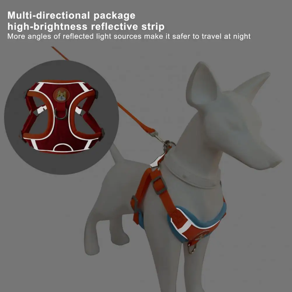 2Pcs/Set Pet Harness Leash Strips Dogs Harness Universal Pet Training Harness Leash Kit For Small Meduim Dogs