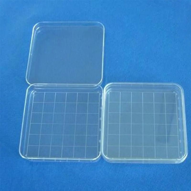 Plastic disposable 10*10cm square petri dishes 10 sets/pack Separating line