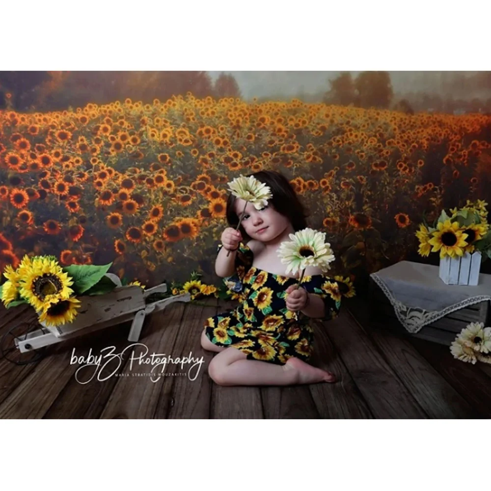 عباد الشمس المناظر الطبيعية خلفية التصوير الفوتوغرافي الربيع أشعة الشمس غروب الشمس الحلو الأطفال صورة خلفية لدعائم استوديو الصور