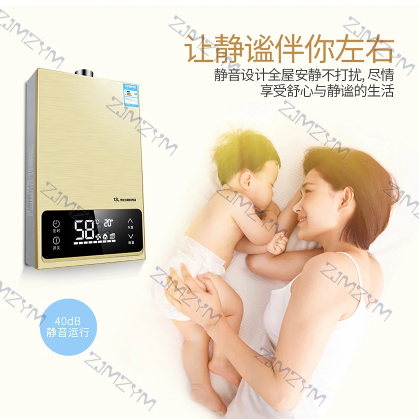 Chauffe-eau électrique Intelligent 24kw, 12l, sans réservoir, à température constante, gaz naturel liquéfié