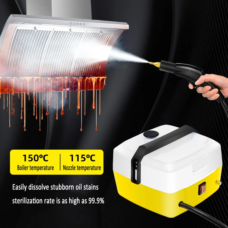 Steam Cleaner Home Use High Temperature Disinfect Disinfect Cooker Hood Air Conditioning Cleaning Machine Car Washer