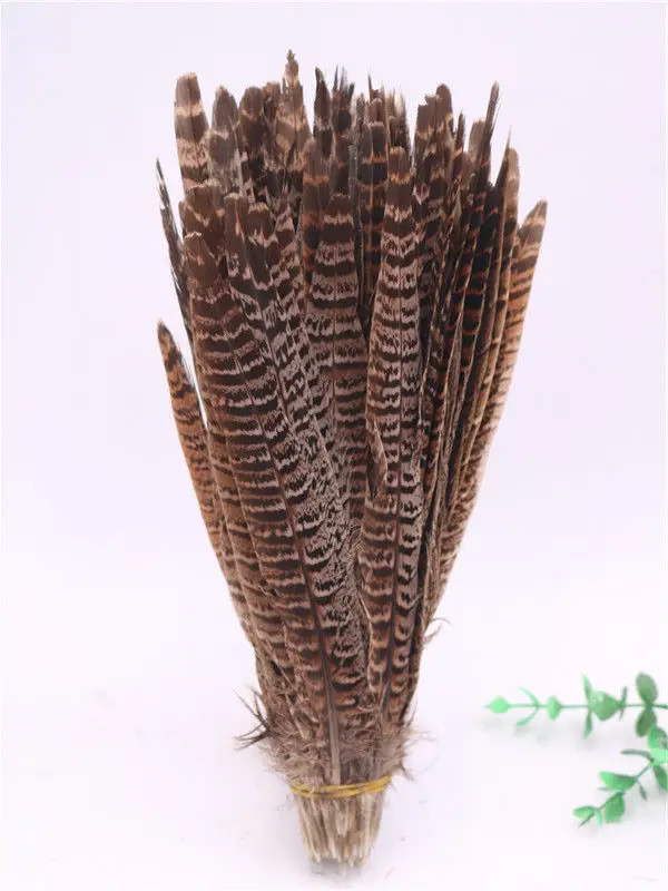 10Pcs/Lot Female Pheasant Tail Feathers 25-30CM/10-12\