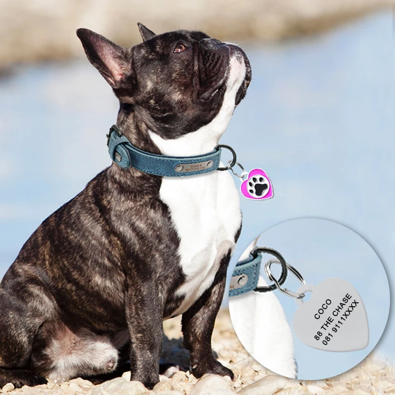 Cat Dog ID Tag Custom Free Engraving Personalized Dog Collar Pet Charm Name Pendant Bone Necklace Collar Puppy