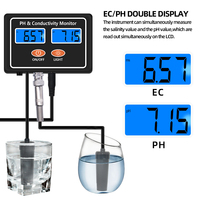 Digital Water Quality Meter 2 In 1 Online PH & EC Conductivity Monitor ATC Real-time Continuous PH Tester for Swimming Pool