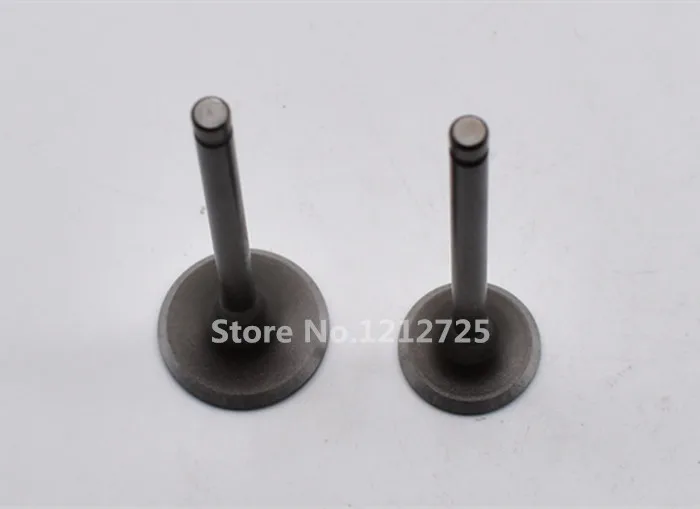 Suitable for Honda WH100 SCR100 scooters Engine valve WH 100 Inlet exhaust valve