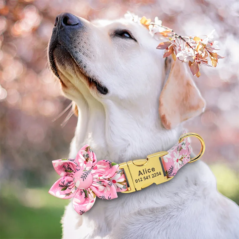 Flowers pet dog collar lettering anti loss golden hair Teddy small large collar traction rope Quick delivery personal name